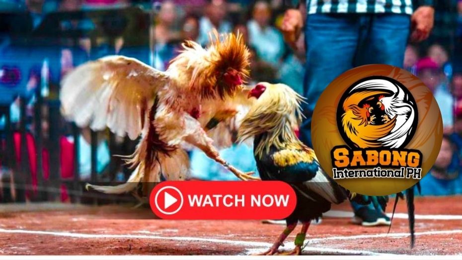 100% free messaging dating sites